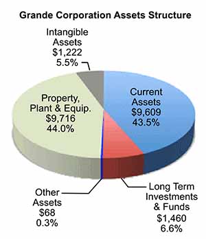 Overall asset portfolio for example company