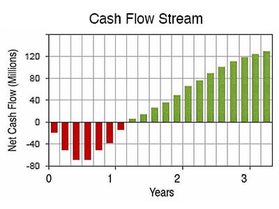 Basic cash flow data includes cash inflows and outflows