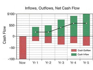 Basic cash flow data includes cash inflows and outflows