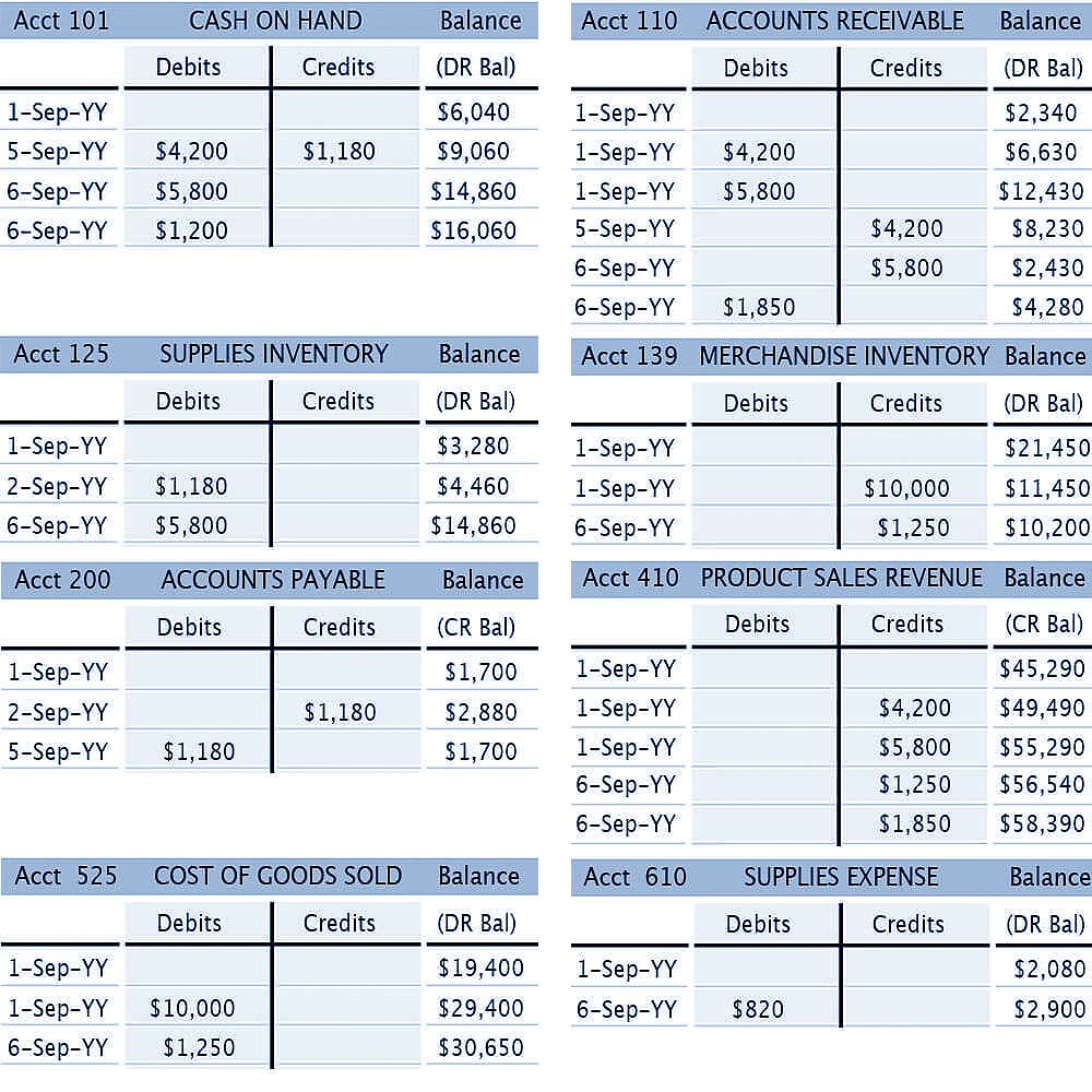 Ledgers and Ledger Accounts Reveal Account Balance and History