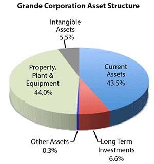 Property plant and equipment is 44% of the asset portfolio Grande Corporation asset portfolio (structure) by percentages