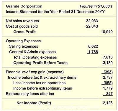 Sales revenue turnover appears on the income statement.